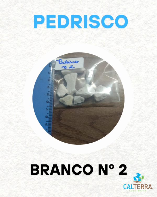 Pedrisco Branco Tipo 02 - Imagem 2