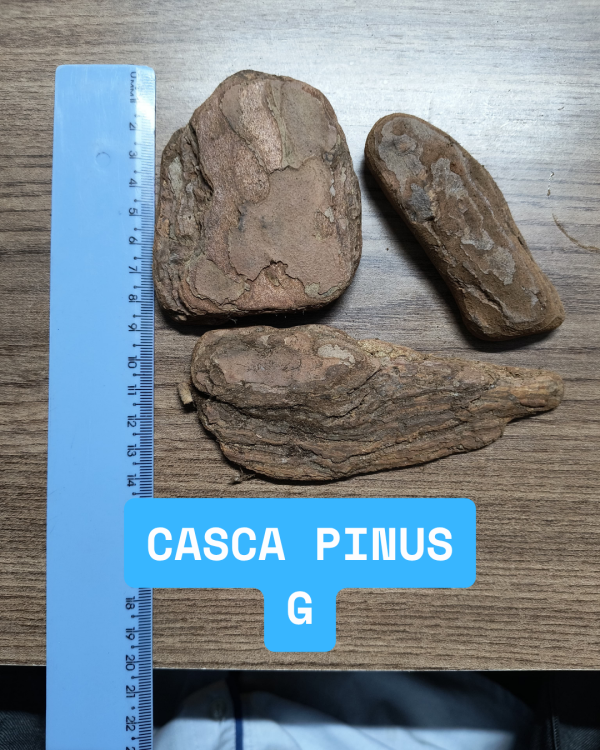 Casca de Pinus Decorativa Tamanho G - Saco 40 Litros. - Imagem 2